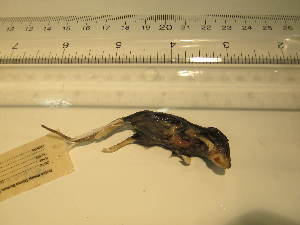  ( - USNM-TLE07)  @12 [ ] Unspecified (default): All Rights Reserved  Unspecified Unspecified