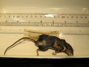  ( - USNM-TLE08)  @12 [ ] Unspecified (default): All Rights Reserved  Unspecified Unspecified