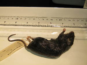  ( - USNM-TLW02)  @12 [ ] Unspecified (default): All Rights Reserved  Unspecified Unspecified