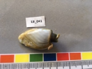  ( - MT563432)  @11 [ ] Unspecified (default): All Rights Reserved  Unspecified Unspecified