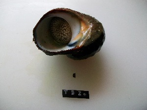  ( - HvdB-T52)  @14 [ ] No Rights Reserved (2010) Frederick Hermanus Van der Bank University of Johannesburg