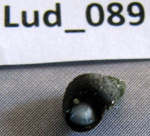  ( - HvdB-Lud-089)  @12 [ ] Unspecified (default): All Rights Reserved  Unspecified Unspecified