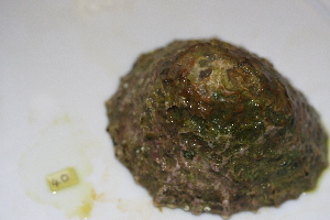  ( - HvdB-10-2010-212)  @13 [ ] Unspecified (default): All Rights Reserved  Unspecified Unspecified