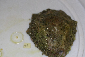  ( - HvdB-10-2010-223)  @13 [ ] Unspecified (default): All Rights Reserved  Unspecified Unspecified