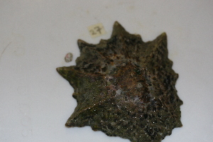  ( - HvdB-10-2010-226)  @13 [ ] Unspecified (default): All Rights Reserved  Unspecified Unspecified