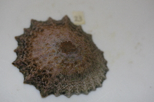  ( - HvdB-10-2010-219)  @13 [ ] Unspecified (default): All Rights Reserved  Unspecified Unspecified