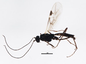  ( - BIOUG00859-G02)  @12 [ ] CreativeCommons - Attribution (2011) CBG Photography Group Centre for Biodiversity Genomics