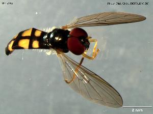  ( - INV15218)  @11 [ ] Creative Commons Attribution NonCommercial ShareAlike (2023) (2024) Research Center in Biodiversity and Genetic Resources Research Center in Biodiversity and Genetic Resources