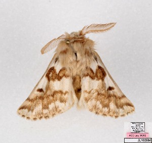  ( - AOCLep03695)  @11 [ ] Copyright (2025) A.S. Ortiz Unspecified