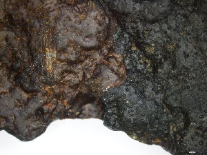  ( - EI-BF20.7-JRH-1021-1)  @11 [ ] CreativeCommons - Attribution Non-Commercial Share-Alike (2018) Unspecified Tromsø University Museum