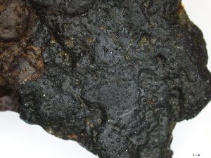  ( - EI-BF20.7-JRH-1021-1)  @11 [ ] CreativeCommons - Attribution Non-Commercial Share-Alike (2018) Unspecified Tromsø University Museum