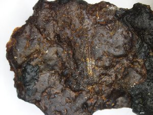  ( - EI-BF20.7-JRH-1022-1)  @11 [ ] CreativeCommons - Attribution Non-Commercial Share-Alike (2018) Unspecified Tromsø University Museum