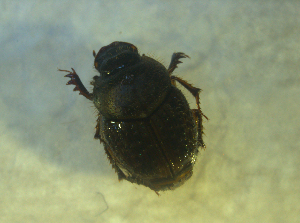  ( - UNEIECOL00020)  @11 [ ] CreativeCommons - Attribution Non-Commercial Share-Alike  Unspecified Unspecified