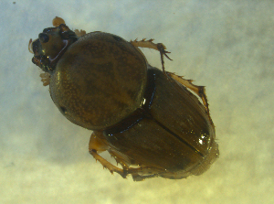  ( - UNEIECOL00036)  @11 [ ] CreativeCommons - Attribution Non-Commercial Share-Alike  Unspecified Unspecified