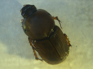 ( - UNEIECOL00007)  @11 [ ] CreativeCommons - Attribution Non-Commercial Share-Alike  Unspecified Unspecified