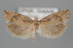  ( - BGE_MZH_LEP_2012)  @11 [ ] CreativeCommons - Attribution Non-Commercial Share-Alike (2025) Leo Vahatalo University of Helsinki