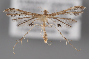  ( - BGE_MZH_LEP_2094)  @11 [ ] CreativeCommons - Attribution Non-Commercial Share-Alike (2025) Leo Vahatalo University of Helsinki