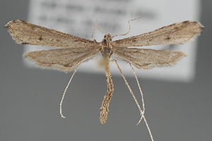  ( - BGE_MZH_LEP_2229)  @11 [ ] CreativeCommons - Attribution Non-Commercial Share-Alike (2025) Leo Vahatalo University of Helsinki