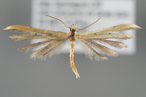  ( - BGE_MZH_LEP_2231)  @11 [ ] CreativeCommons - Attribution Non-Commercial Share-Alike (2025) Leo Vahatalo University of Helsinki