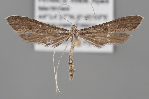  ( - BGE_MZH_LEP_2239)  @11 [ ] CreativeCommons - Attribution Non-Commercial Share-Alike (2025) Leo Vahatalo University of Helsinki