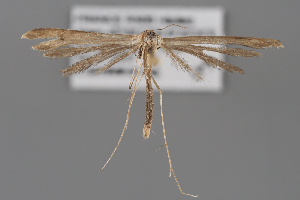  ( - BGE_MZH_LEP_2240)  @11 [ ] CreativeCommons - Attribution Non-Commercial Share-Alike (2025) Leo Vahatalo University of Helsinki