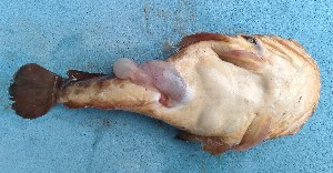  ( - CPA102)  @11 [ ] copyright © (2025) Emmanuel Nguessan Kouame University Nangui Abrogoua