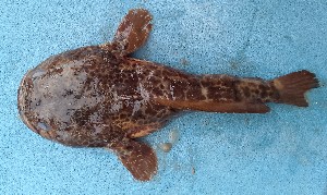  ( - CPA103)  @11 [ ] copyright © (2025) Emmanuel Nguessan Kouame University Nangui Abrogoua