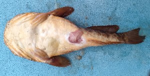  ( - CPA103)  @11 [ ] copyright © (2025) Emmanuel Nguessan Kouame University Nangui Abrogoua