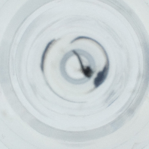  ( - IMSP_025_C1)  @11 [ ] by  Genome Research Ltd as Wellcome Sanger Institute Genome Research Limited operating as Wellcome Sanger Institute