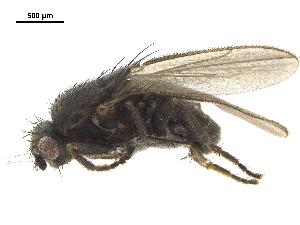  ( - BIOUG47278-B07)  @11 [ ] CreativeCommons - Attribution (2019) CBG Photography Group Centre for Biodiversity Genomics