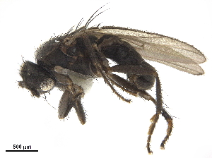  ( - BIOUG47278-C10)  @11 [ ] CreativeCommons - Attribution (2019) CBG Photography Group Centre for Biodiversity Genomics