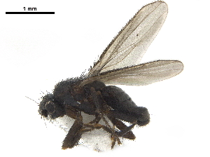  ( - BIOUG47278-D01)  @11 [ ] CreativeCommons - Attribution (2019) CBG Photography Group Centre for Biodiversity Genomics