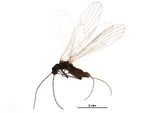  ( - CCDB-24287-A03)  @14 [ ] CreativeCommons - Attribution (2015) CBG Photography Group Centre for Biodiversity Genomics