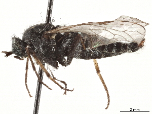  ( - CCDB-35914-H07)  @11 [ ] CreativeCommons - Attribution (2020) CBG Photography Group Centre for Biodiversity Genomics