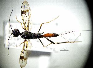  ( - BGE_00625_A02)  @11 [ ] CreativeCommons - Attribution Share - Alike (2025) Unspecified Unspecified