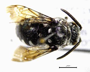  ( - BGE_00632_B02)  @11 [ ] CreativeCommons - Attribution Share - Alike (2025) Unspecified Unspecified