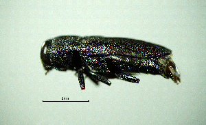  ( - BGE_00646_F02)  @11 [ ] CreativeCommons - Attribution Share - Alike (2025) Unspecified Unspecified