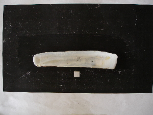  ( - CNP_INV-NPB16)  @12 [ ] No Rights Reserved (2013) Unspecified Unspecified