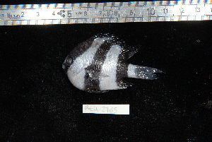  ( - REU2765)  @13 [ ] No Rights Reserved  Unspecified Unspecified