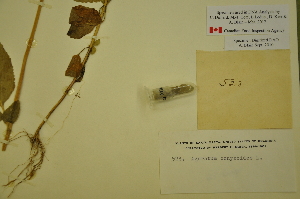  ( - MIRL11-Acon-04-01)  @11 [ ] Unspecified (default): All Rights Reserved  Unspecified Unspecified