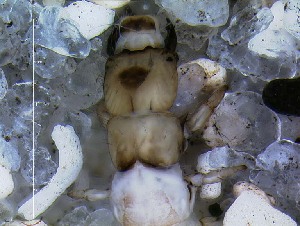  ( - IQCAD-0112)  @11 [ ] Unspecified (default): All Rights Reserved  Unspecified Unspecified