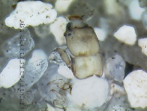  ( - IQCAD-0126)  @11 [ ] Unspecified (default): All Rights Reserved  Unspecified Unspecified