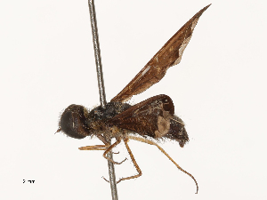  ( - CBG-A69634-F09)  @11 [ ] CreativeCommons - Attribution Share - Alike (2025) CBG Photography Group Centre for Biodiversity Genomics