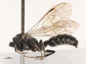  ( - CBG-A69634-G12)  @11 [ ] CreativeCommons - Attribution Share - Alike (2025) CBG Photography Group Centre for Biodiversity Genomics