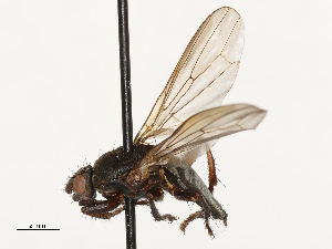  ( - CBG-A69635-A05)  @11 [ ] CreativeCommons - Attribution Share - Alike (2025) CBG Photography Group Centre for Biodiversity Genomics