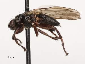  ( - CBG-A69635-A06)  @11 [ ] CreativeCommons - Attribution Share - Alike (2025) CBG Photography Group Centre for Biodiversity Genomics