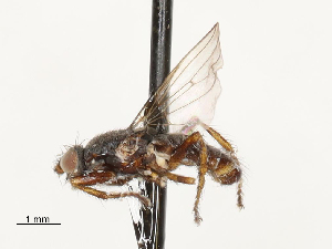  ( - CBG-A69635-A07)  @11 [ ] CreativeCommons - Attribution Share - Alike (2025) CBG Photography Group Centre for Biodiversity Genomics