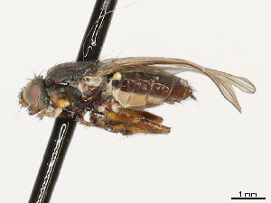  ( - CBG-A69635-A08)  @11 [ ] CreativeCommons - Attribution Share - Alike (2025) CBG Photography Group Centre for Biodiversity Genomics