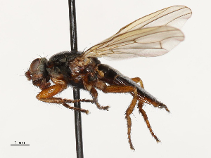  ( - CBG-A69635-A11)  @11 [ ] CreativeCommons - Attribution Share - Alike (2025) CBG Photography Group Centre for Biodiversity Genomics