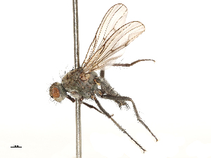  ( - CBG-A69635-B09)  @11 [ ] CreativeCommons - Attribution Share - Alike (2025) CBG Photography Group Centre for Biodiversity Genomics